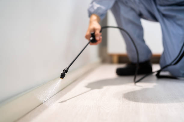 Licensed Pest Control service in Topeka, KS - Show Me Pest Control