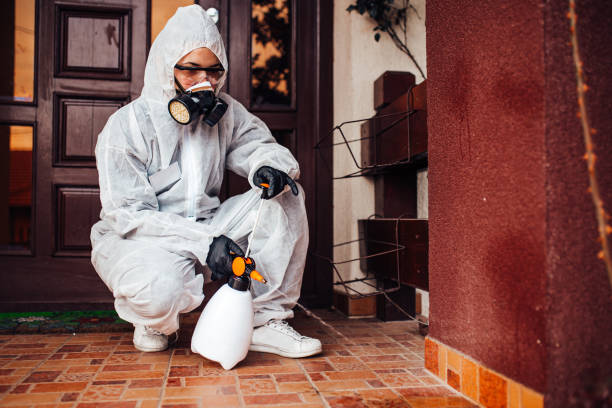 Reliable Wasp Removal contractor in Topeka, KS by Show Me Pest Control